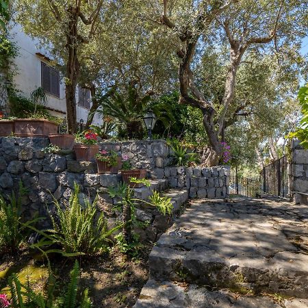 Ulivi Apt Villa Sorrento Dış mekan fotoğraf