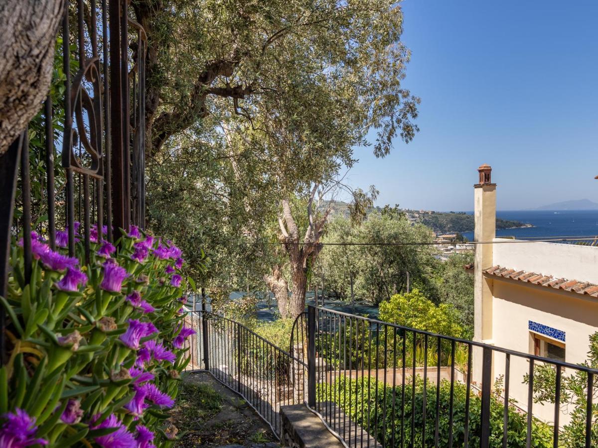 Ulivi Apt Villa Sorrento Dış mekan fotoğraf