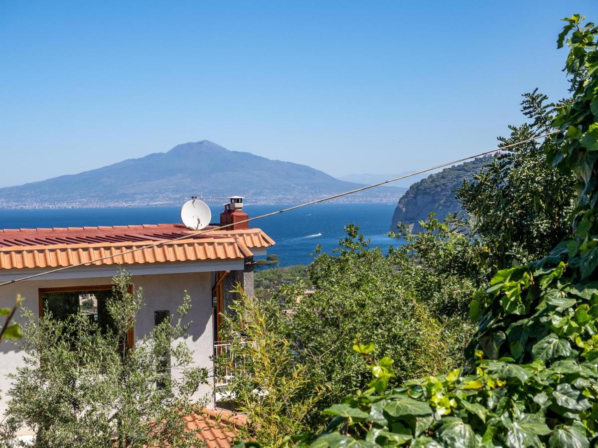 Ulivi Apt Villa Sorrento Dış mekan fotoğraf