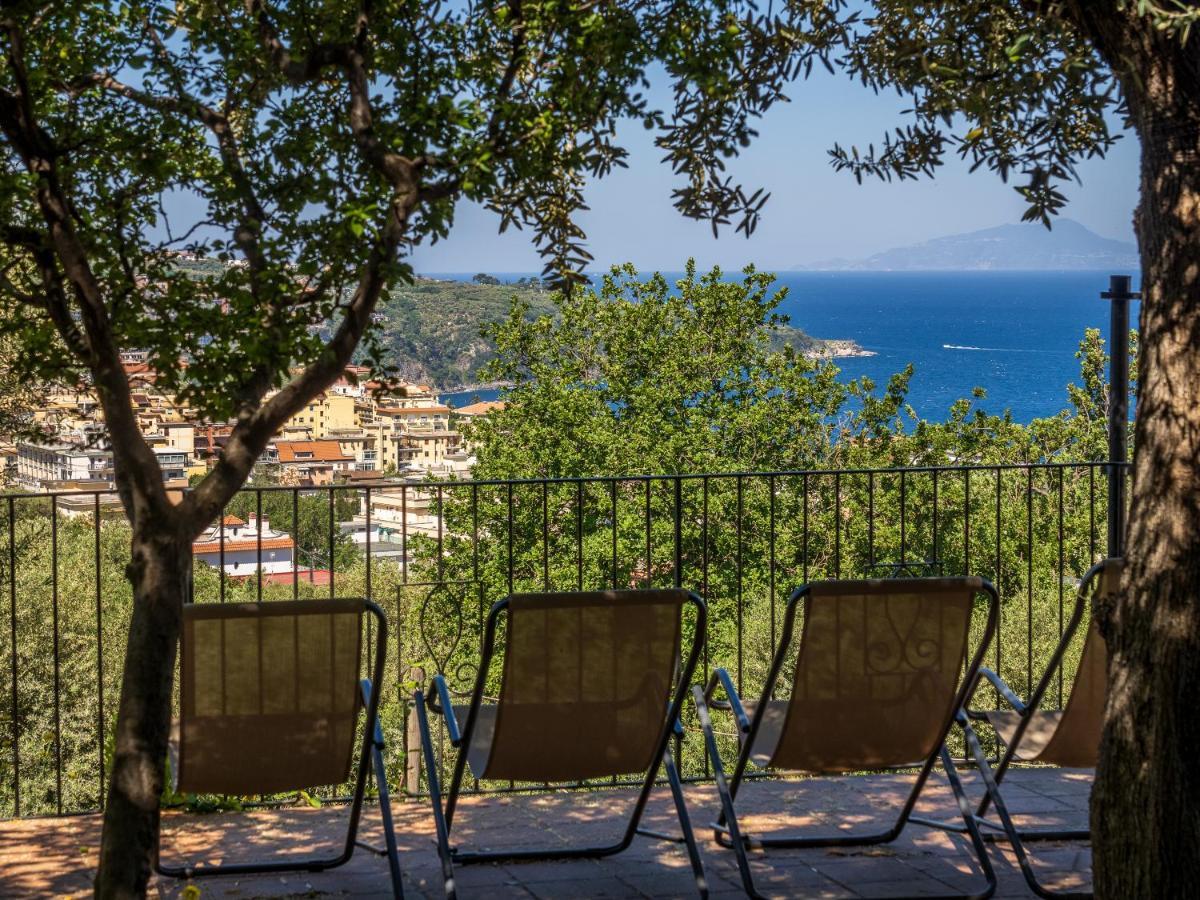 Ulivi Apt Villa Sorrento Dış mekan fotoğraf