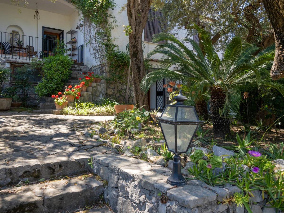 Ulivi Apt Villa Sorrento Dış mekan fotoğraf