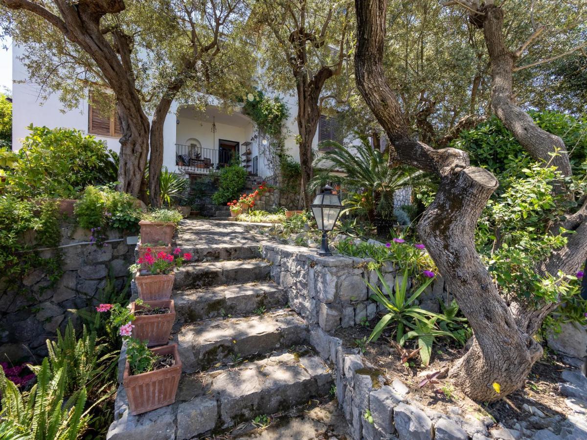 Ulivi Apt Villa Sorrento Dış mekan fotoğraf