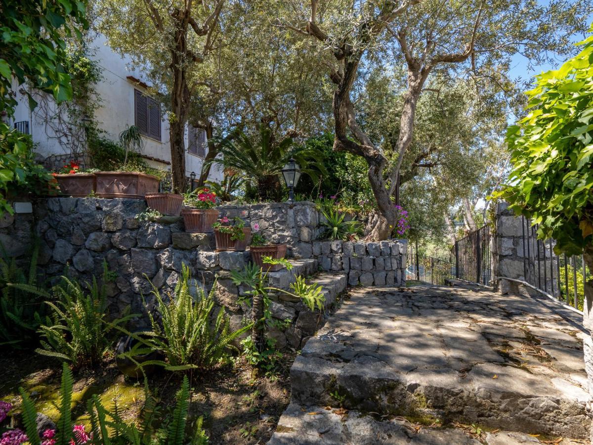 Ulivi Apt Villa Sorrento Dış mekan fotoğraf